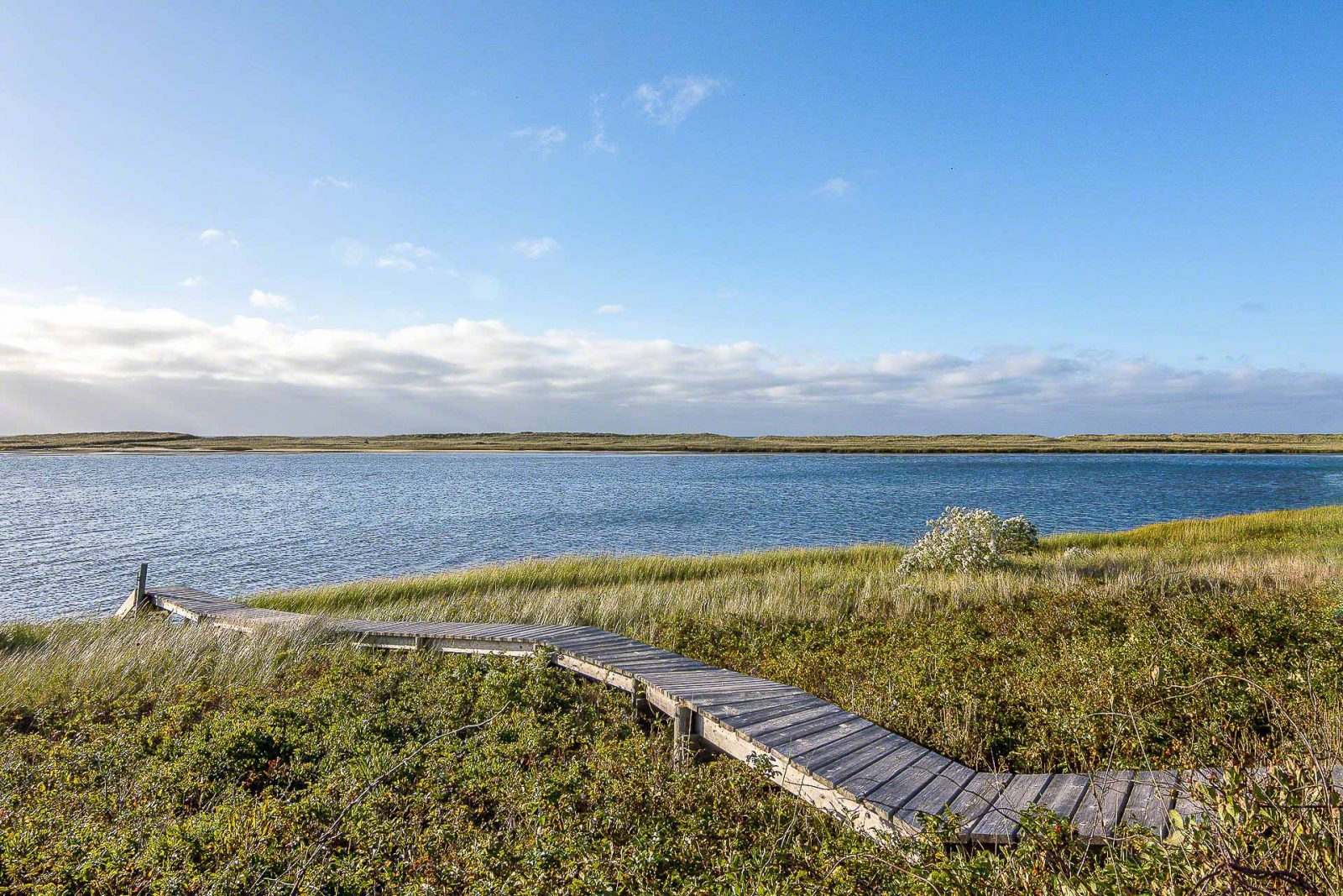 Martha's Vineyard Beach